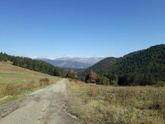 Green Dilijan B&B