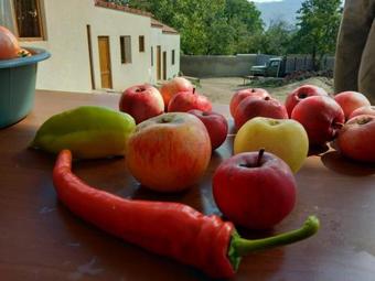 Agroturismo Saro B&B And Safari Tours