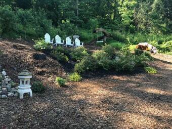 Bed & Breakfast Beacon Hermitage