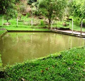 Ch�cara Do Alem�o - Extrema