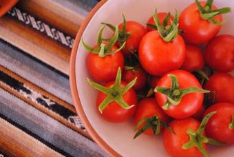 Posada Ecolodge La Estancia