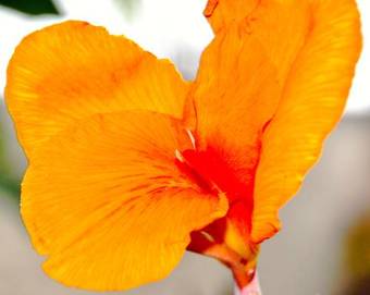 Albergue Surfcamp Guanico