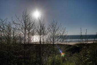 Gorman Beach House