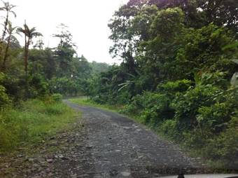 Casa Rio Blanco Eco Friendly B&B