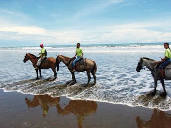 Mar Y Selva Ecolodge