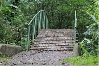 Danta Corcovado Lodge