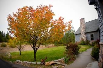 Idahome Bed And Breakfast