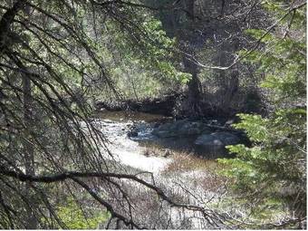 White Chief Mountain Lodge