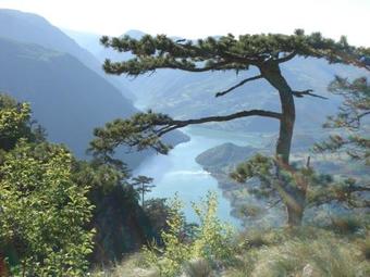 Bed & Breakfast Guesthouse Bajina Basta