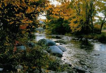 Hotel Lodge At Jackson Village