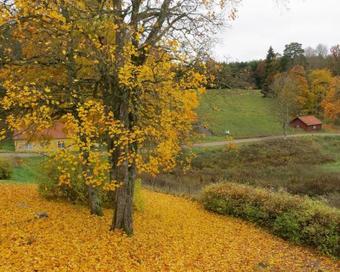 Lidhem B&B And Holiday Apartments