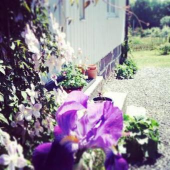 Bed & Breakfast Elisetorp