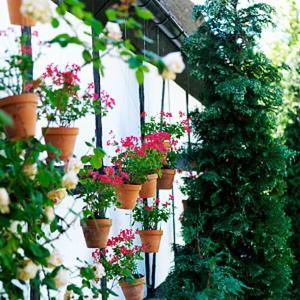 Apotekarns B&B
