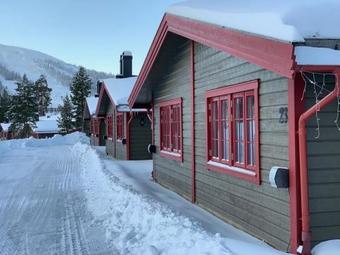 Hotel Mountain Lodge