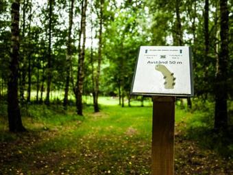 Apartamento �ventyrscampen