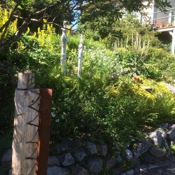 Bed & Breakfast Perssons Magasin