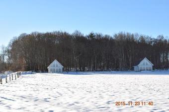 Lodge Tjuvhultse