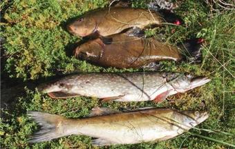 Holiday Home S�ffle Harn�s Lyckhem