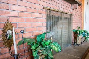 Hotel Econo Lodge Williamsport