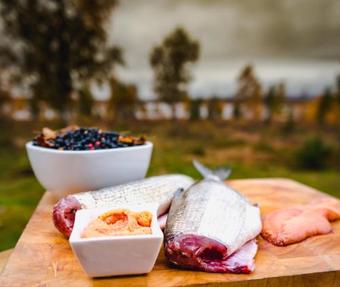 Lodge Arctic Gourmet Cabin