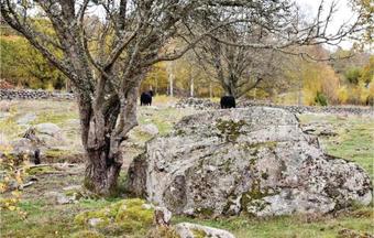 0-bedroom Holiday Home In Sturko