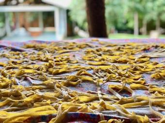 Hostal Pousada Aguaraguazu