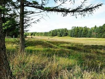 Three-bedroom Holiday Home In Bording 1