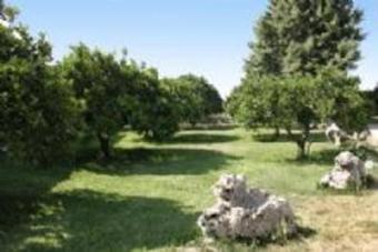 Apartamento Tenuta San Calogero. Agriturismo With Piscina.