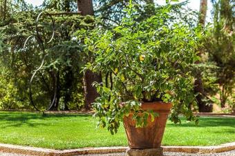 Bettolle Villa Sleeps 12 Pool Wifi