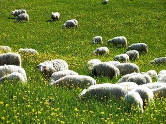 Celle Sul Rigo Villa Sleeps 12 Pool Wifi