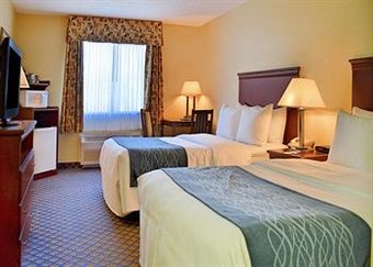 Hotel Comfort Inn Grand Blanc