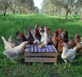 Agroturismo Tenuta Mezzana