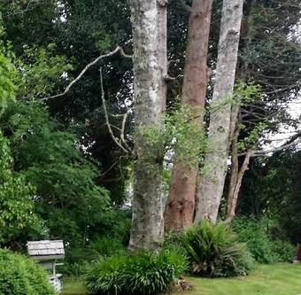 Posada Inn At Harbour Village