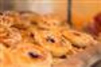 Hotel Howard Johnson - Port Richey