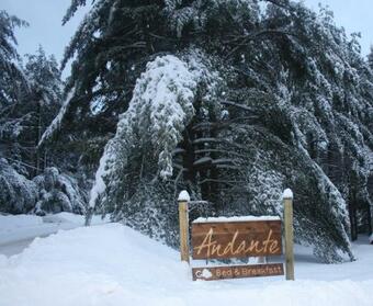 Andante G�te Bed And Breakfast