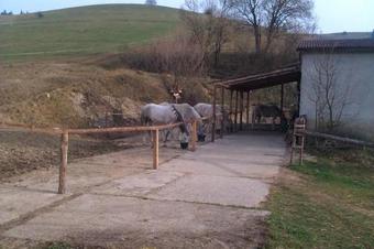 Hostal Penzion Le?tiny