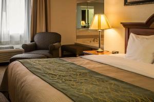 Hotel Comfort Inn & Suites Dimondale