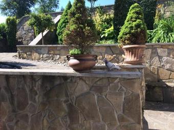 Hostal Penzi�n Na Mlyne