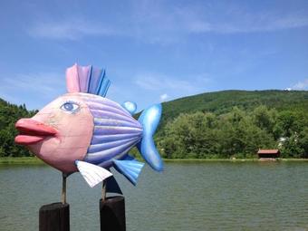 Rybnik Horna Marikova