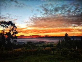 Finca Agrreste Bed & Breakfast