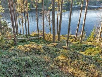 Holiday Home Mustikkakallio