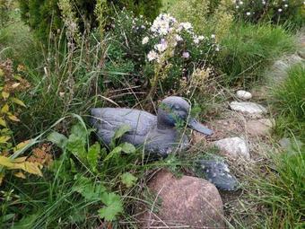 Hostal A Pleasant Holiday Cottage In Zhirovichi