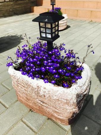 Agrousadba Domik Na Vyhodnye