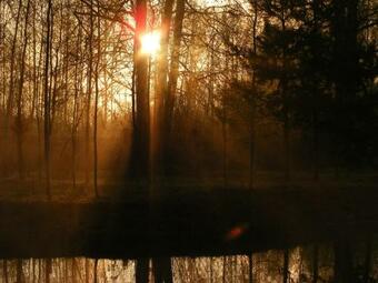 Zayezd Zubachi Brest Holiday Home