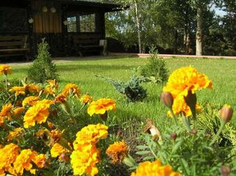 Hostal Usadba Angelika