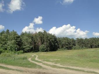 Agrousadba Shushenskoye