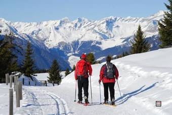 Apartamentos Vitrolerhof