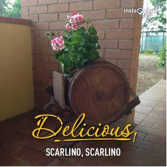 Apartamento Tortuga Casa Vacanze