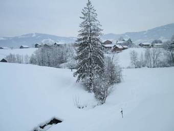 Apartamento Haus Schneider