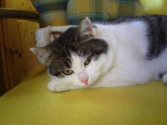 Apartamento Temelerhof